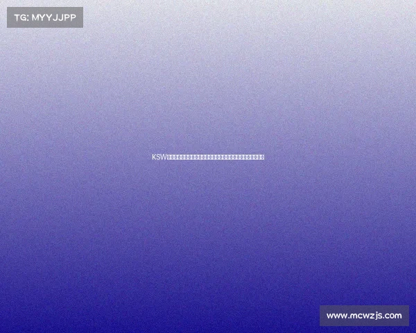 KSW格斗赛事规则全方位剖析保障安全公平竞争与选手防护核心准则