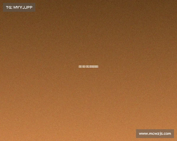 上海 一月 赛事;上海最近赛事